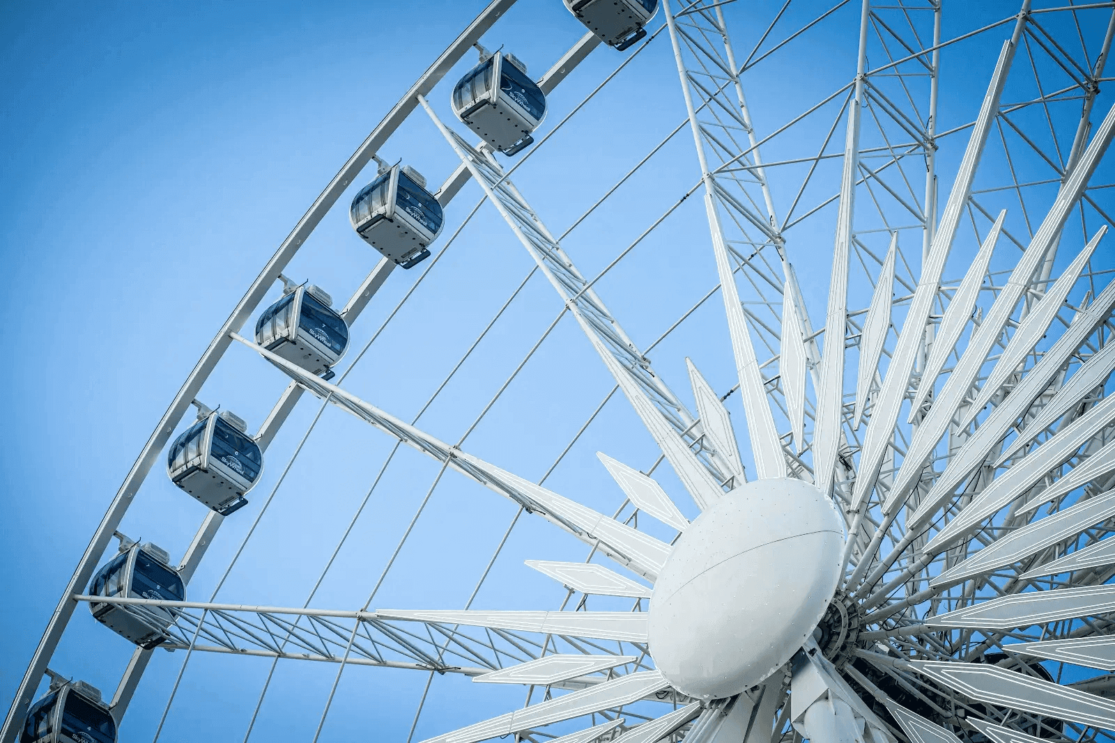 Niagara SkyWheel towering over the illuminated skyline